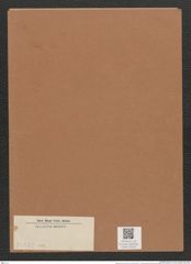 Diatomeae indet. (de-Toni-Nr.: Species 3036 var. ?) Zeichnungen Sammlung Grunow Mappe 03253 (Herbarium_W_Grunow_drawings_Folder_03253)